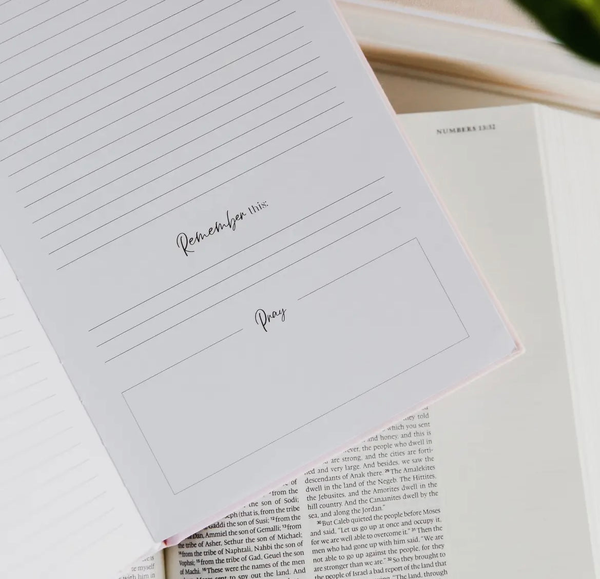 Eden to Eternity Journal | Vol. 1