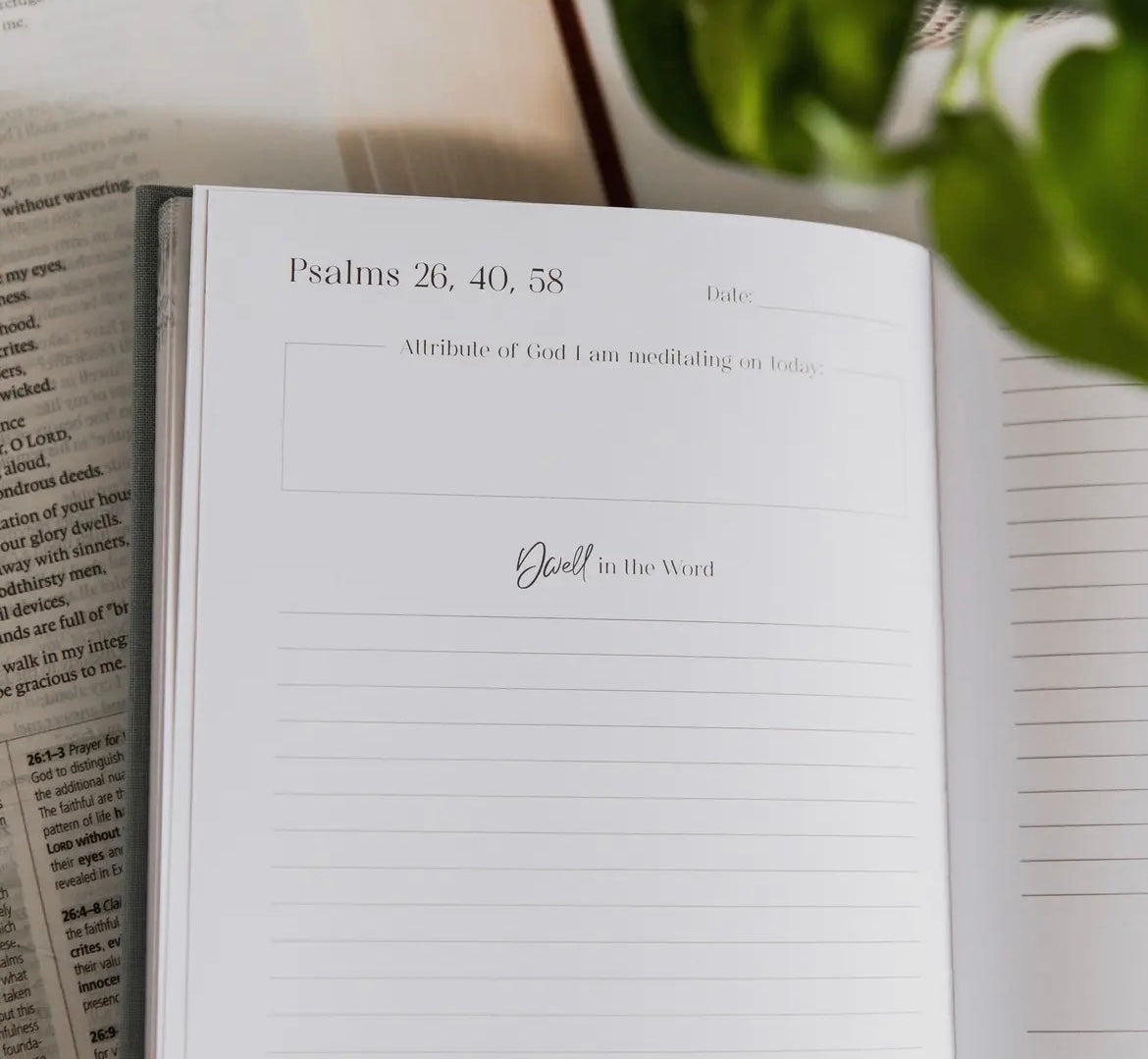 Eden to Eternity Journal | Vol. 2