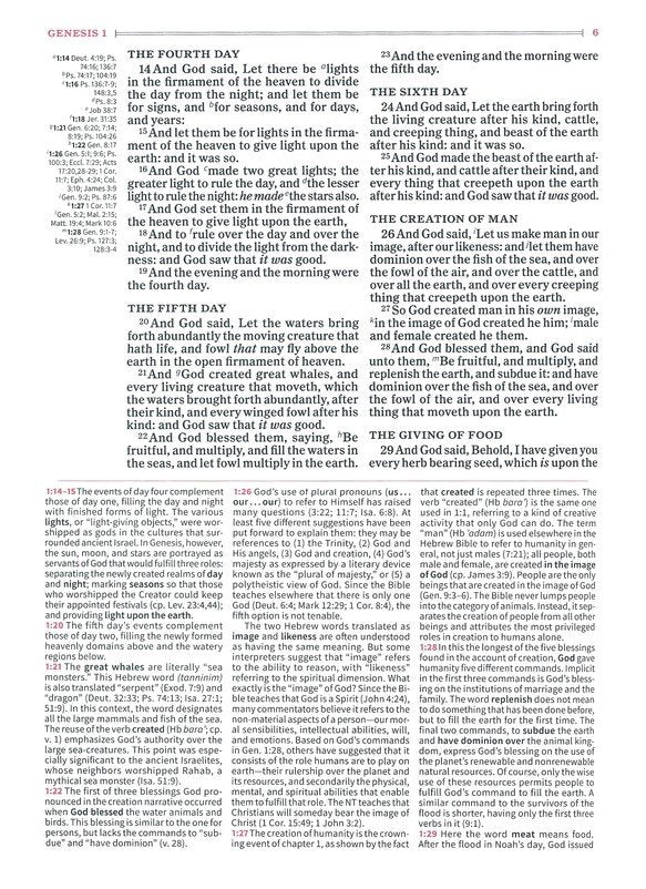 Holman KJV Study BIble (Saddle brown LeatherTouch)